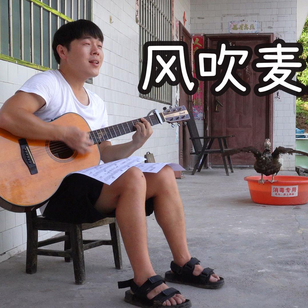 风吹麦浪