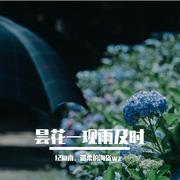 昙花一现雨及时