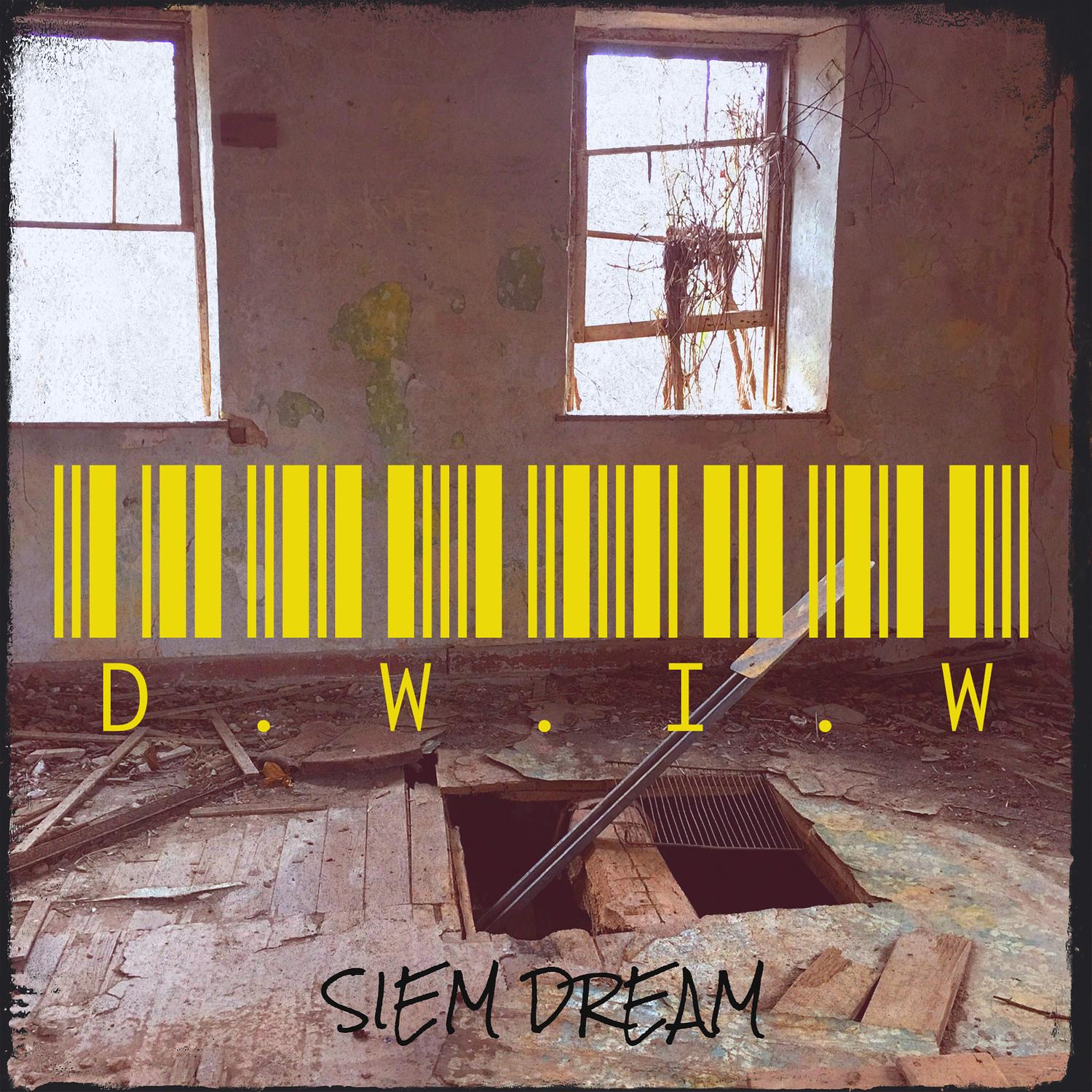 D.W.I.W