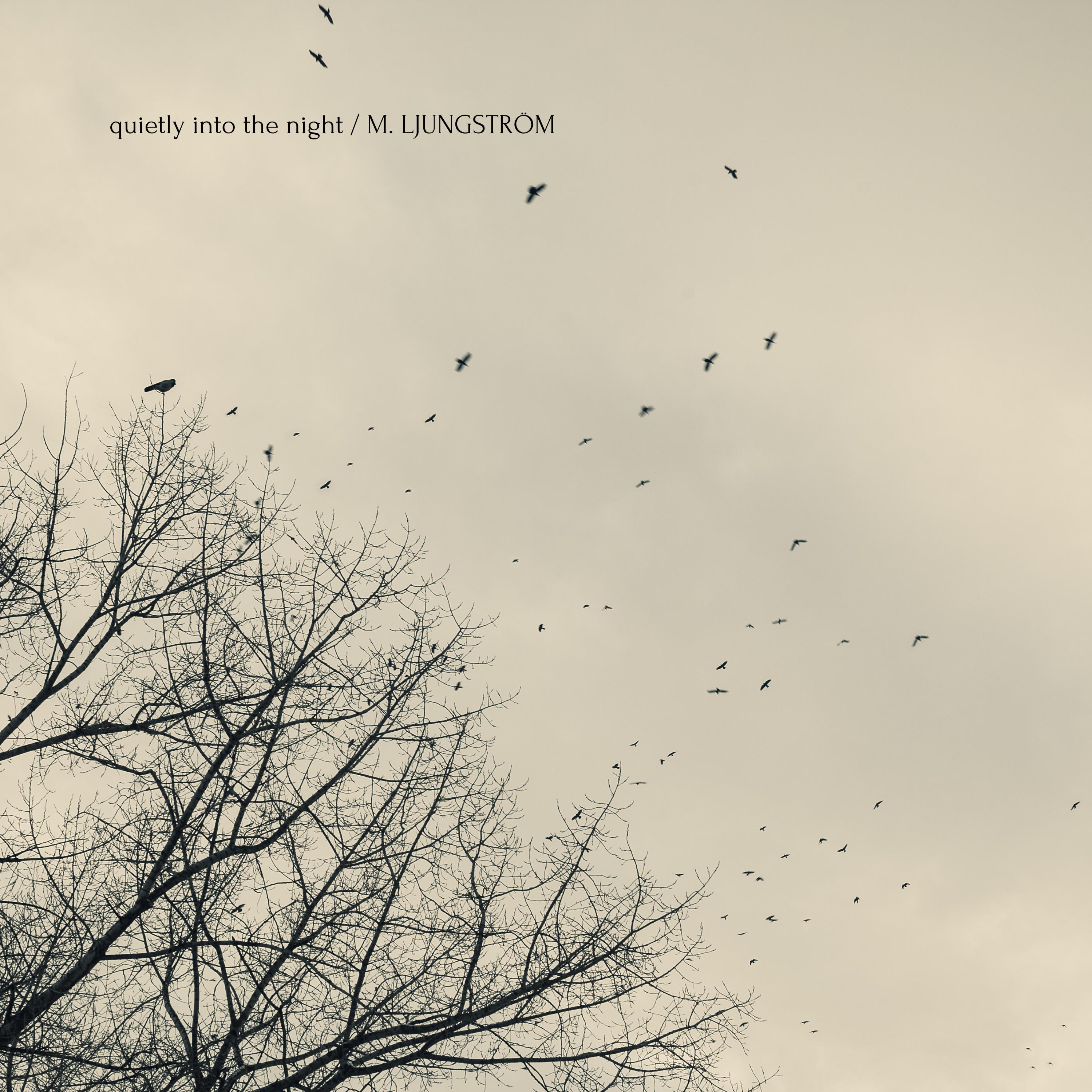 Quietly Into The Night