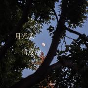 月光柔 情意浓