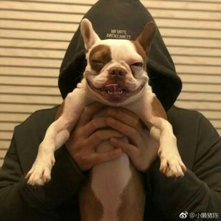 土木三班陈同学——合集