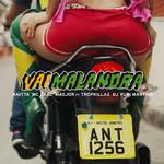 Vai malandra (feat. Tropkillaz & DJ Yuri Martins)专辑