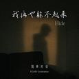 我再也躲不起来(Hide)