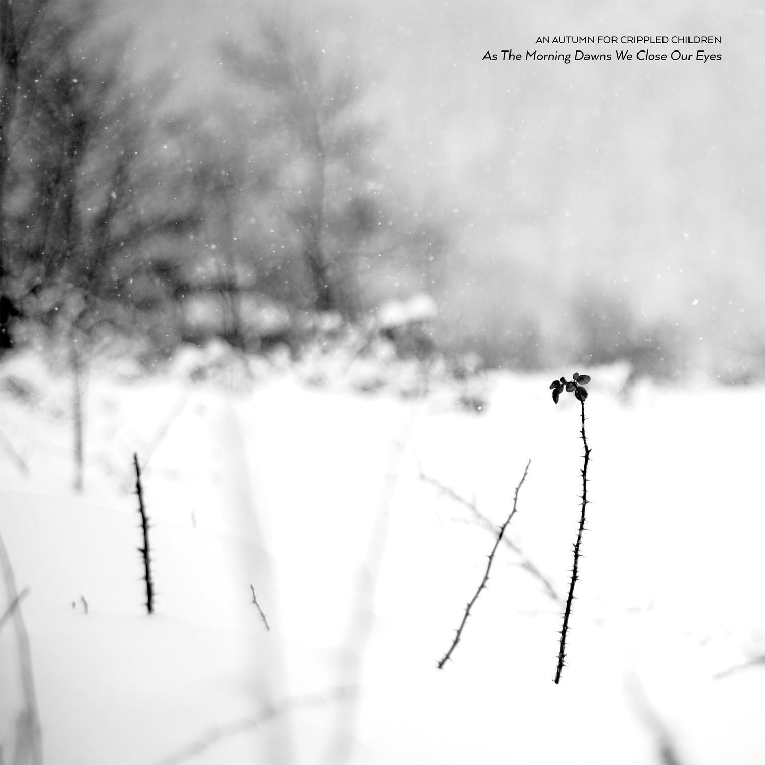 Splendour Unnoticed