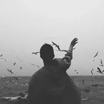 民谣Ⅰ【晚风很好｜应该有月亮｜孤独患者】