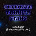 Nickelback - Bottoms Up (Instrumental Version)专辑