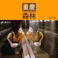 重庆森林粤语版