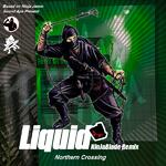 Liquid （Based on Ninja Jamm）专辑