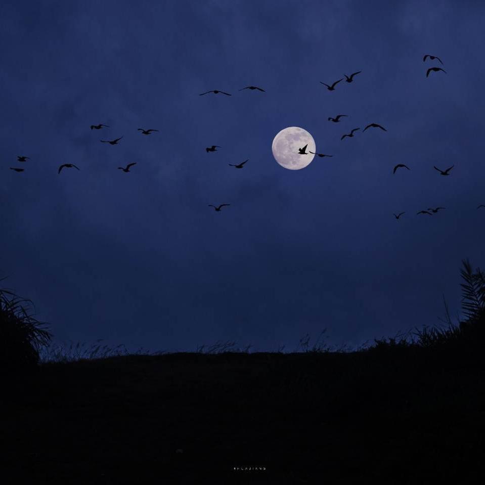 【FREE】夜空 思绪 与你