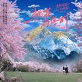 桃花雨落时