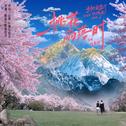 桃花雨落时专辑