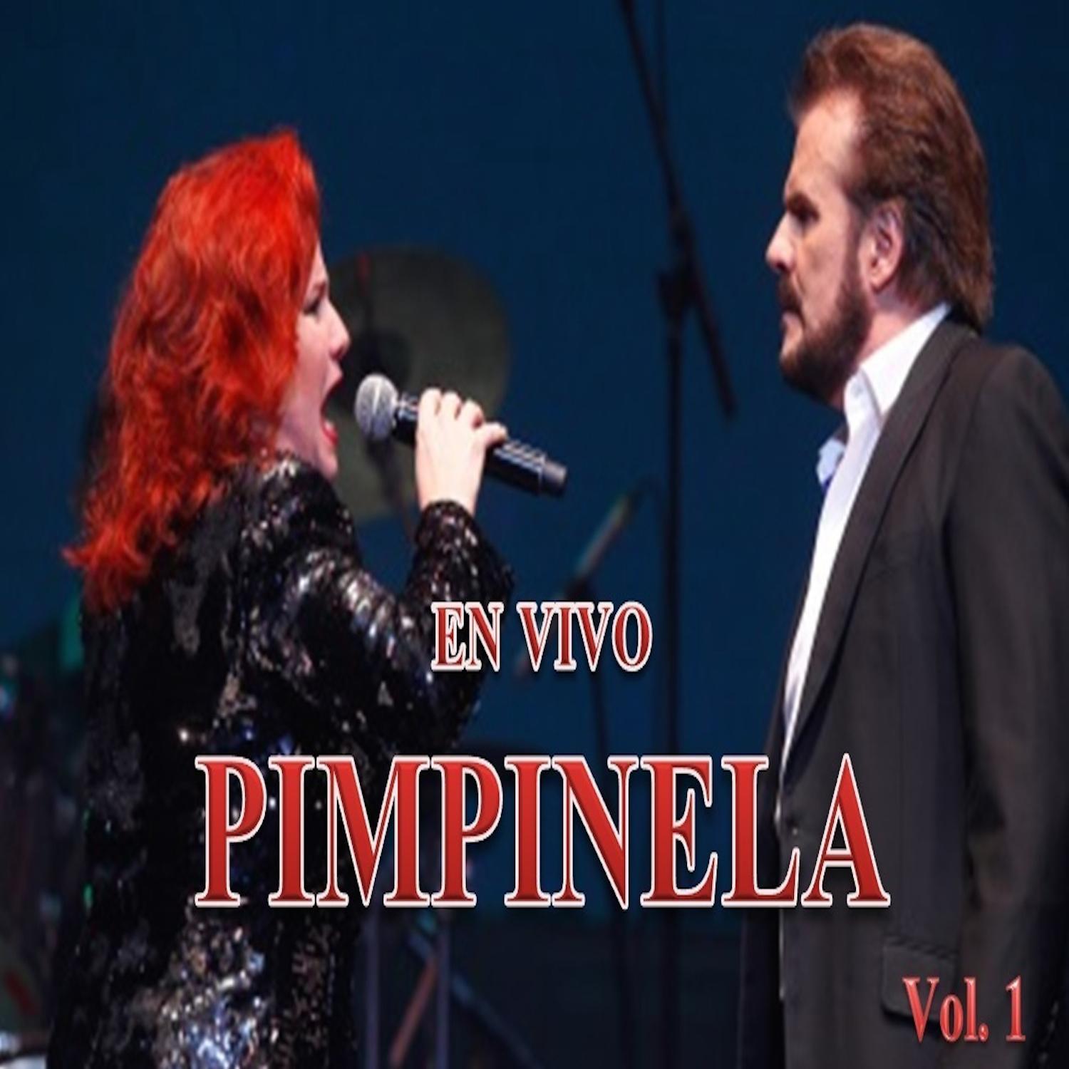 Pimpinela en Vivo, Vol. 1