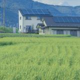 新野