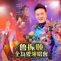鲁振顺 - 前程锦绣(原版Live伴奏)