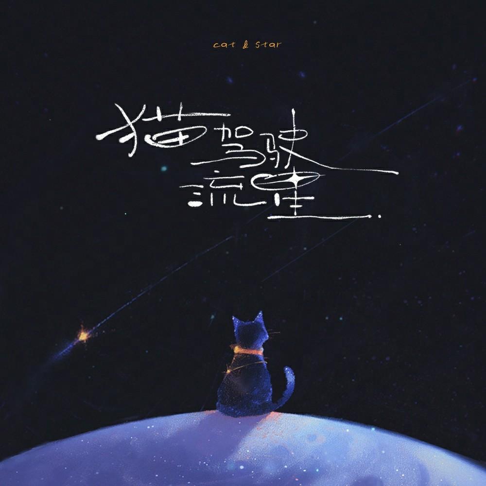 猫驾驶流星