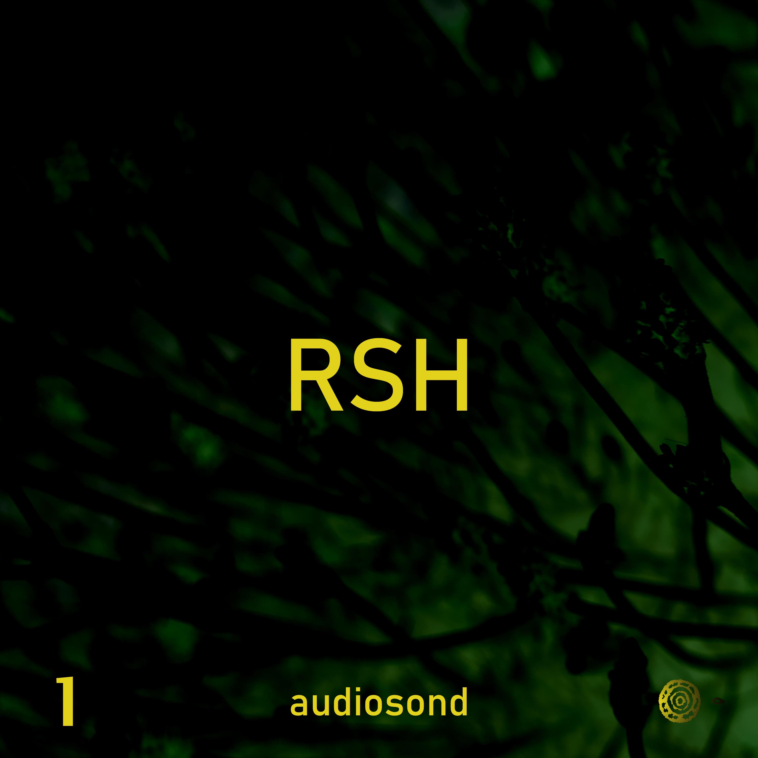 R.S.H. 4