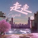 走走（City Walk）专辑