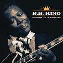 BB King - Blues on Top of the Blues专辑