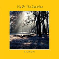 Fly On The Sunshine