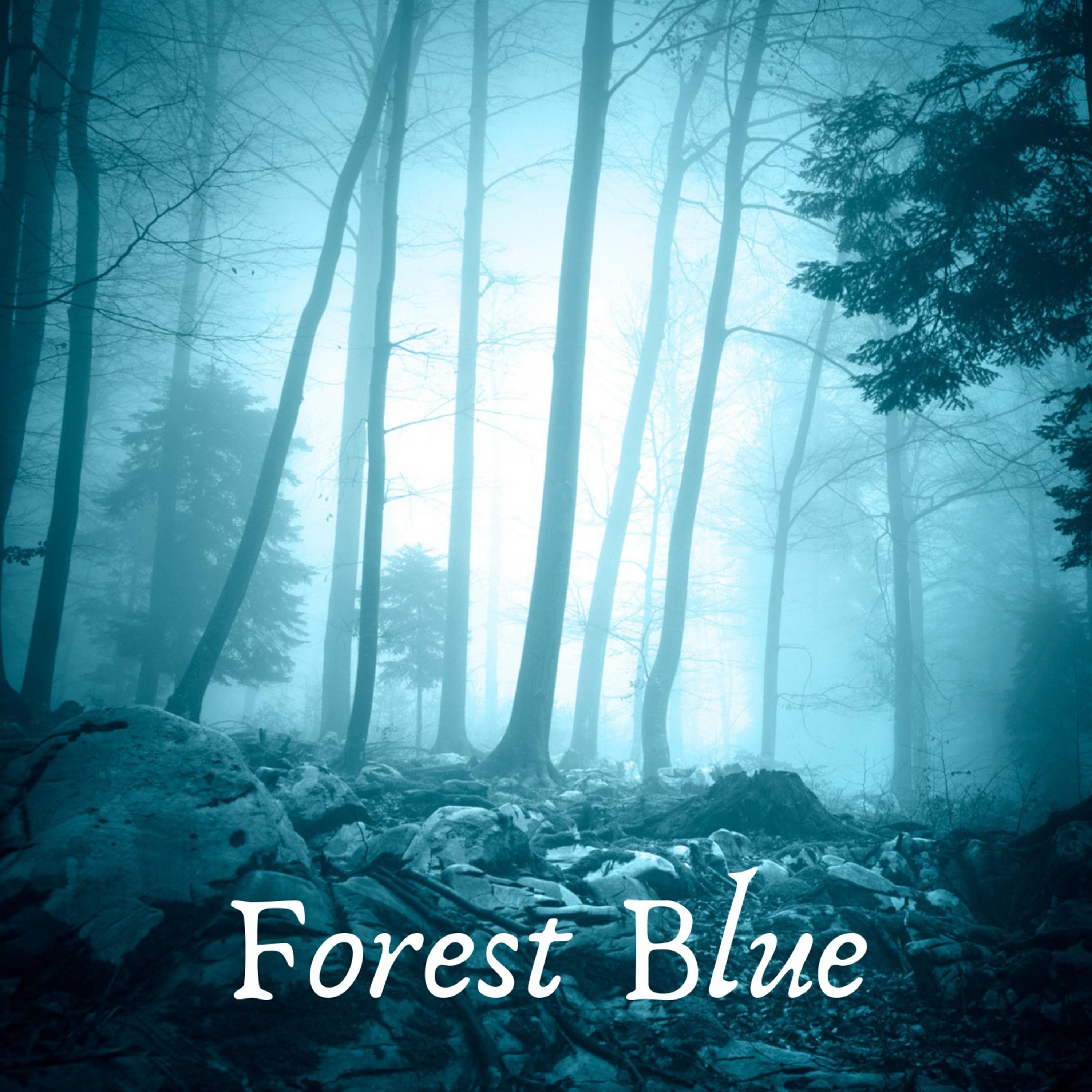 Forest Blue专辑