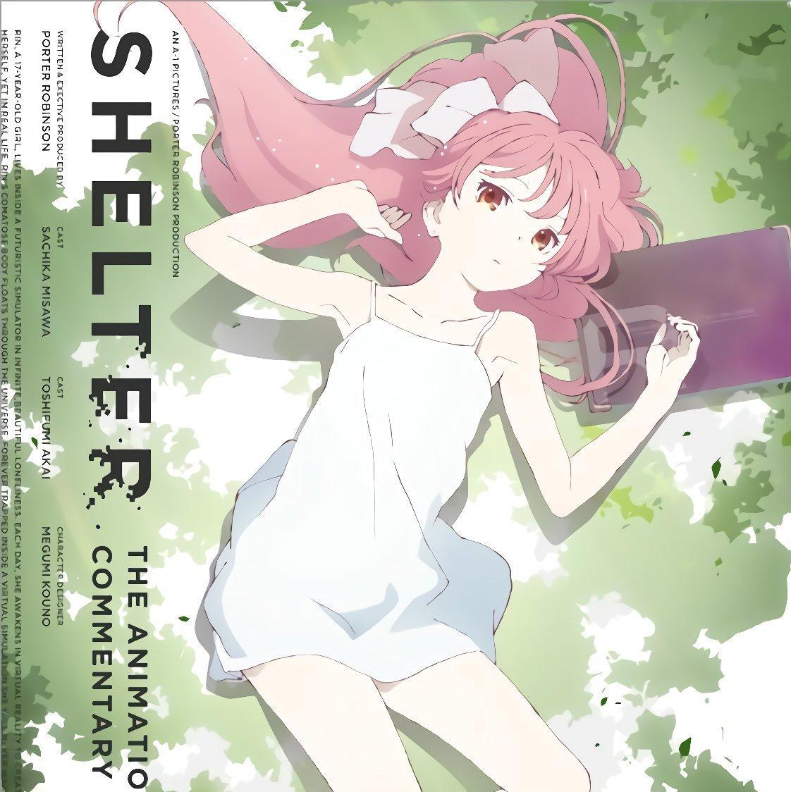 Shelter(避难所) | 在线播放 | 网易云音乐