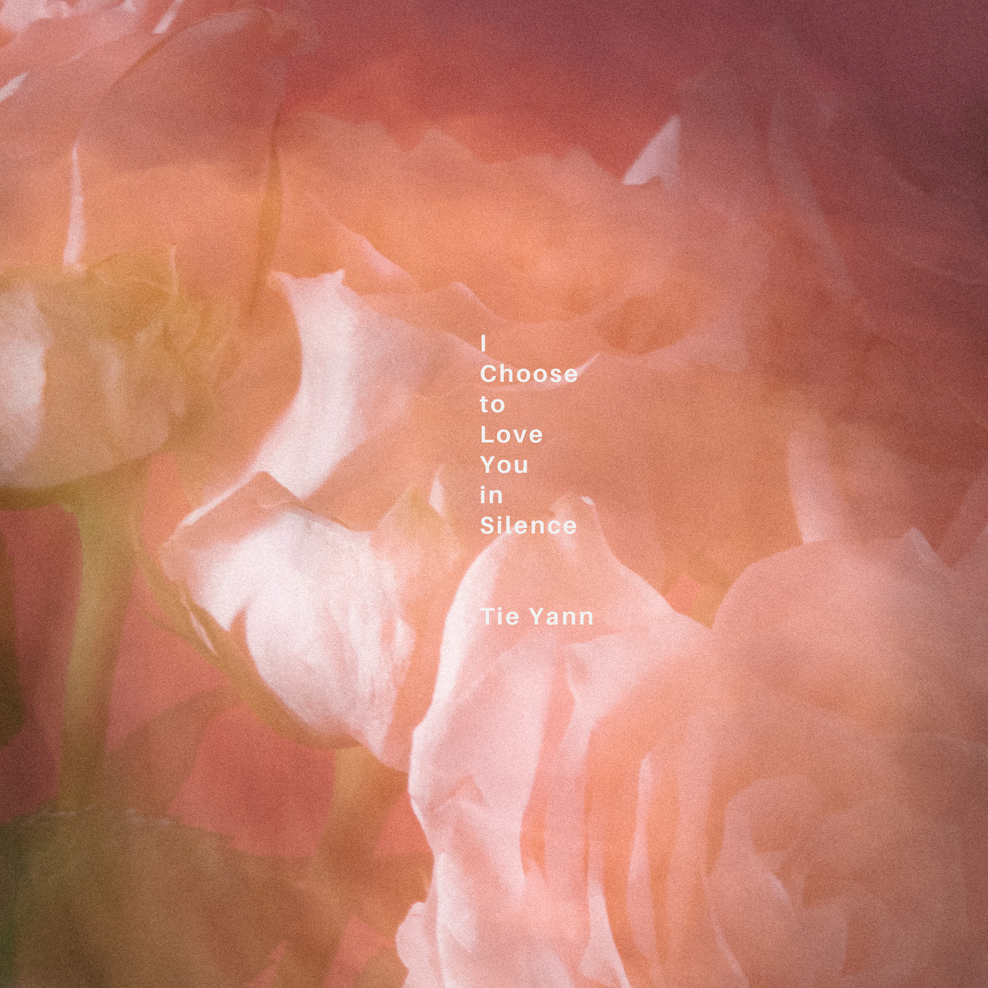 I Choose to Love You in Silence