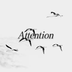 Charlie Puth-Attention（九鹤 remix）