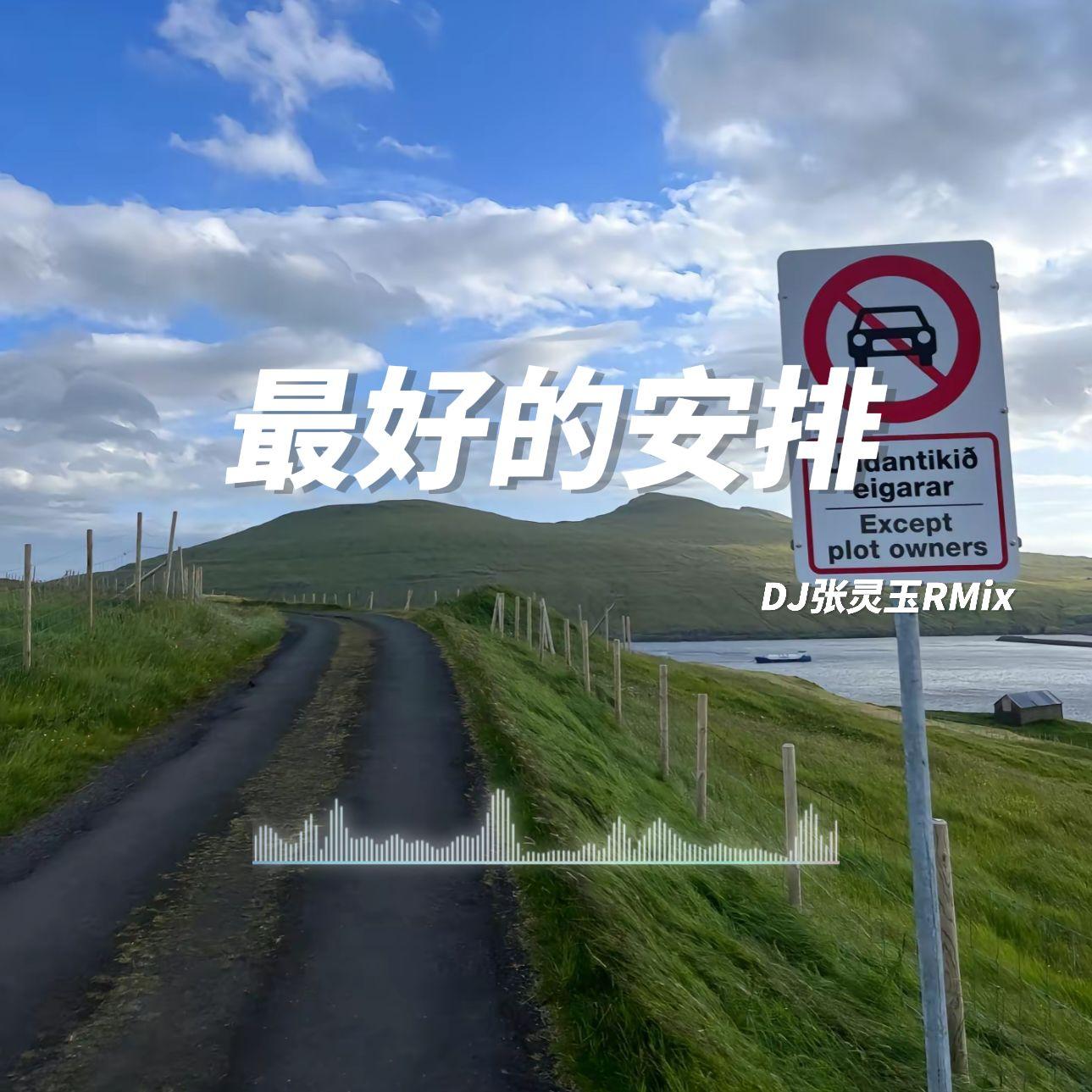 最好的安排