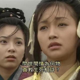 之后我遇到的每个人都不像你