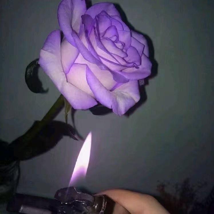 语录