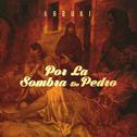 Por La Sombra De Pedro专辑
