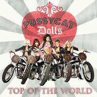 The Pussycat Dolls（R