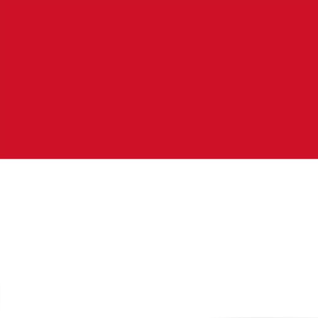印度尼西亚 Indonesia ᵒᵏ