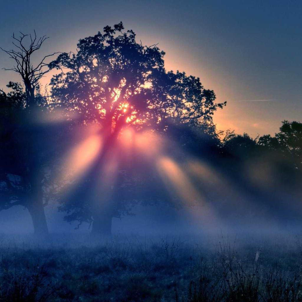 孤独,忧怨,哀伤,迷幻,飘渺,激昂,平静