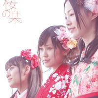 原版伴奏  AKB48- 桜の栞