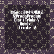 她Gucci的时候眼泪总是PradaPrada的Dior（Triole V Remix）