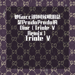 她Gucci的时候眼泪总是PradaPrada的Dior（Triole V Remix）