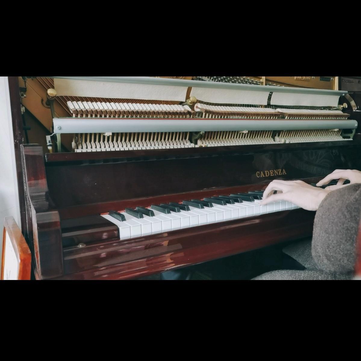 Cornfield Chase (原野追逐)