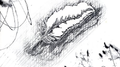 Do These Lines Breathe专辑