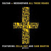 All These Roads (feat. Zella Day & Sam Martin)