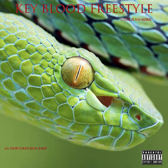 Key Blood Freestyle