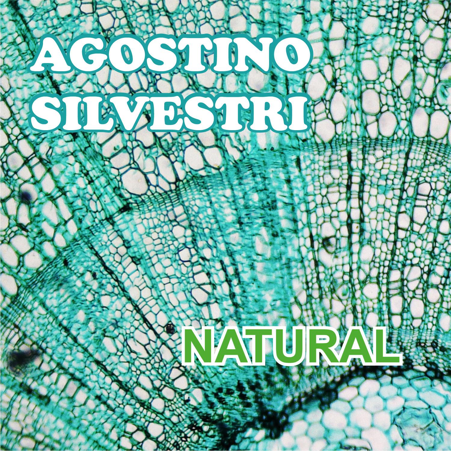 Agostino Silvestri - Little Sonata