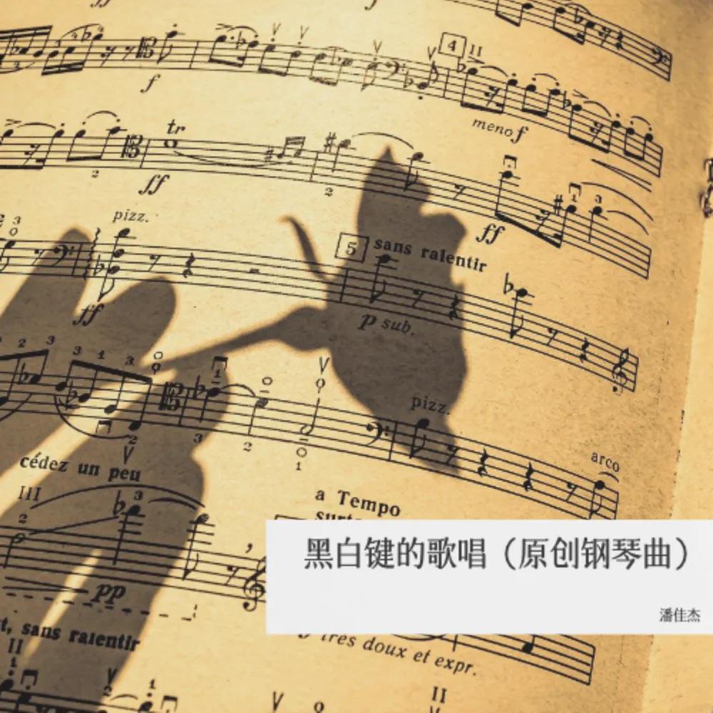 黑白键的歌唱（钢琴曲）
