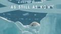 As Still as Now专辑