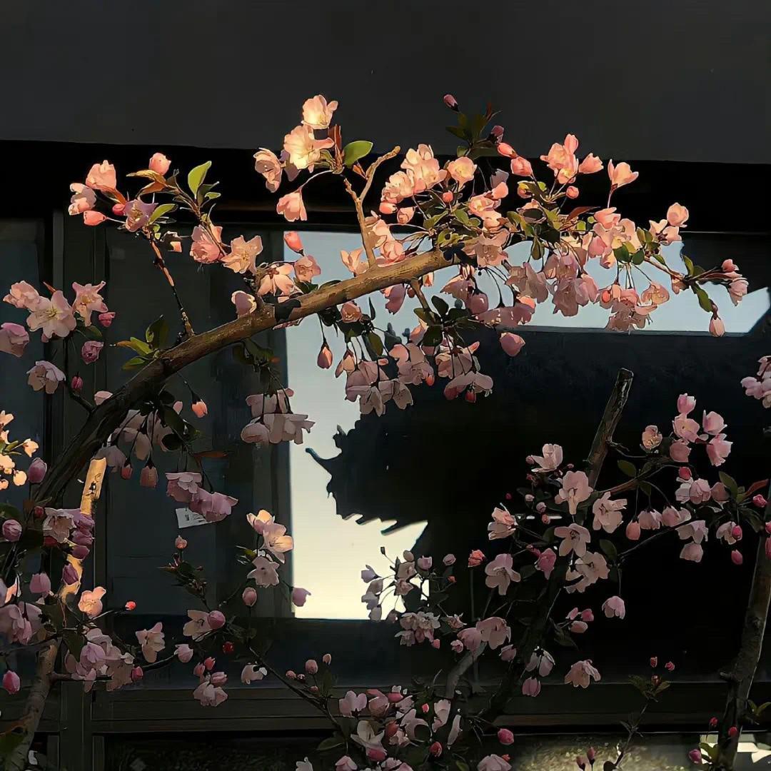 租购