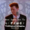 Never Gonna Give You Up（中文翻唱）