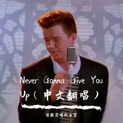 Never Gonna Give You Up（愚人节特供绝不欺骗你）