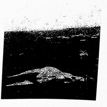 Virbius Abstract
