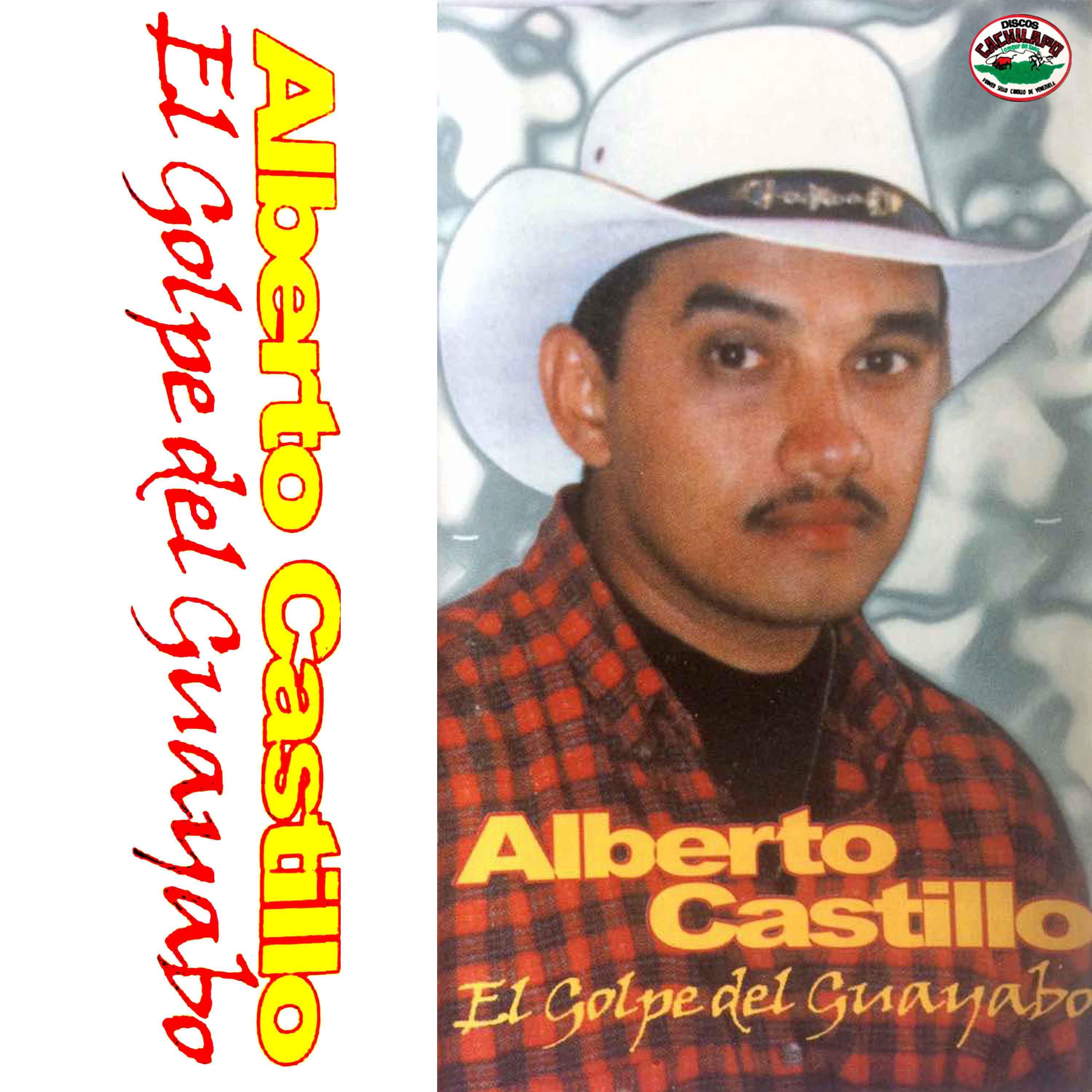 El Golpe del Guayabo